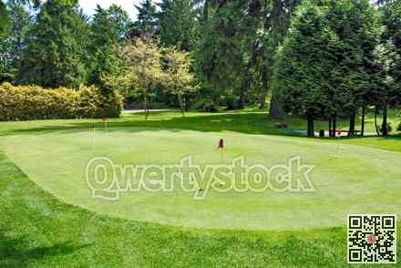 Overview of a golf field with red flags on green lawn