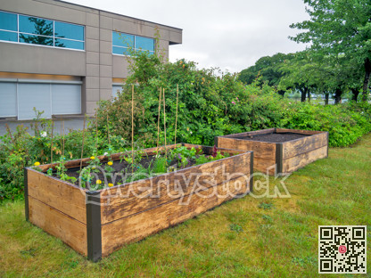 Plants growing garden beds beside the office building on overcast sky background