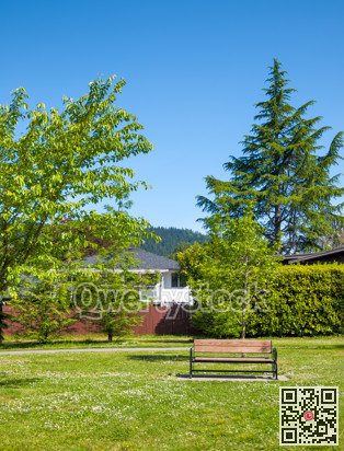 Recreational area with the bench on green lawn with spring flowers