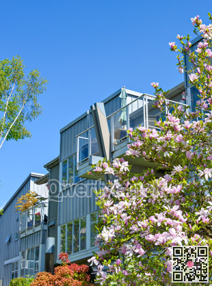 Modern residential building with blossoming mognolia on the foreground