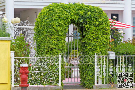 Patterned forged fence with green ivy arch in front of residential house