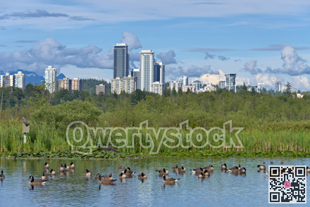 View of Lougheed city center from Burnaby lake neighbourhood